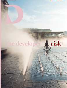 Digital edition: Risk - The Developer, Spring/Summer 2019